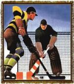Hockey Tapestry Throws