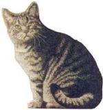 Animal Tapestry Pillows