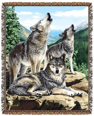 size frame 54 wolf Timeber Wolves & cotton wildlife Wolves, throw size frame 54 wolf Timeber Wolves & cotton wildlife Wolves, throw