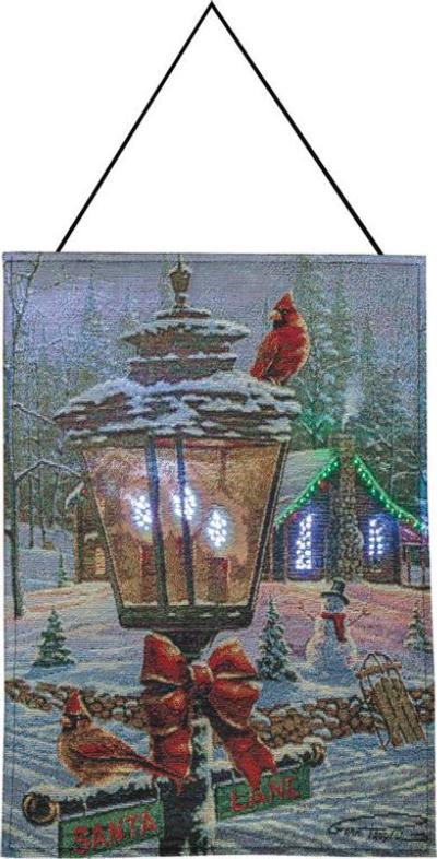 Fiber Optic Christmas Pictures 2021