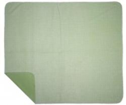 CLOSEOUT Denali Gingham Green Microplush ® Blanket
