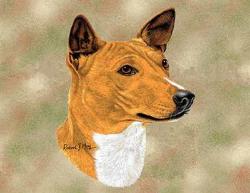 Basenji Lap Tapestry Throw