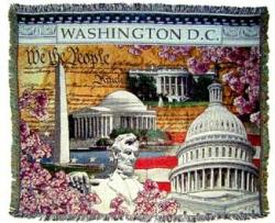 Washington D.C. Tapestry Throw