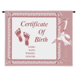 Welcome Baby Girl Pink Wall Hanging