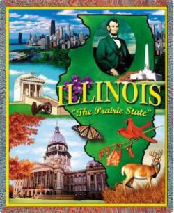 Illinois State Tapestry Throw