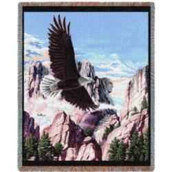 Eagle -Mount Rushmore
